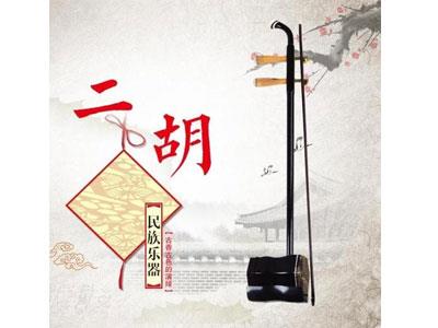 招聘衡水二胡家教老师